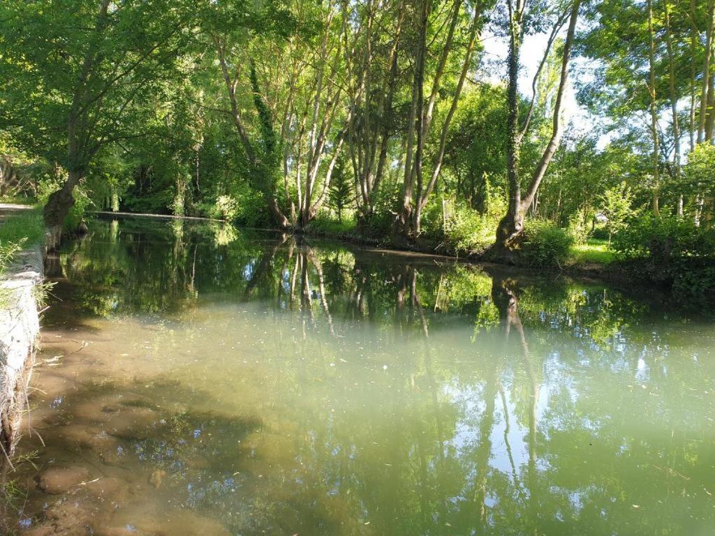Cerf, Quartier Marais, Terrasse Rez De Chausse, Jardin Accessible, Matelas Confortable * Bourges